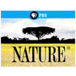 nature-pbs-logo